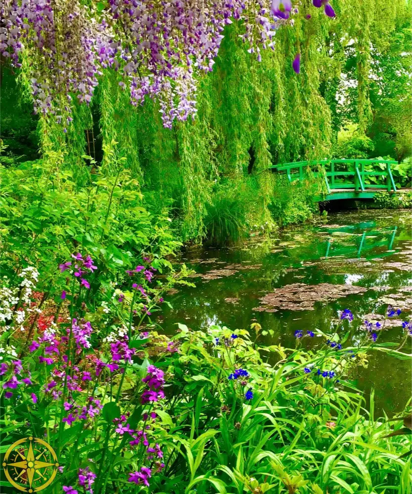 Where Colors Breathe in Brush-strokes: Claude Monet's Water Garden - Fine Art