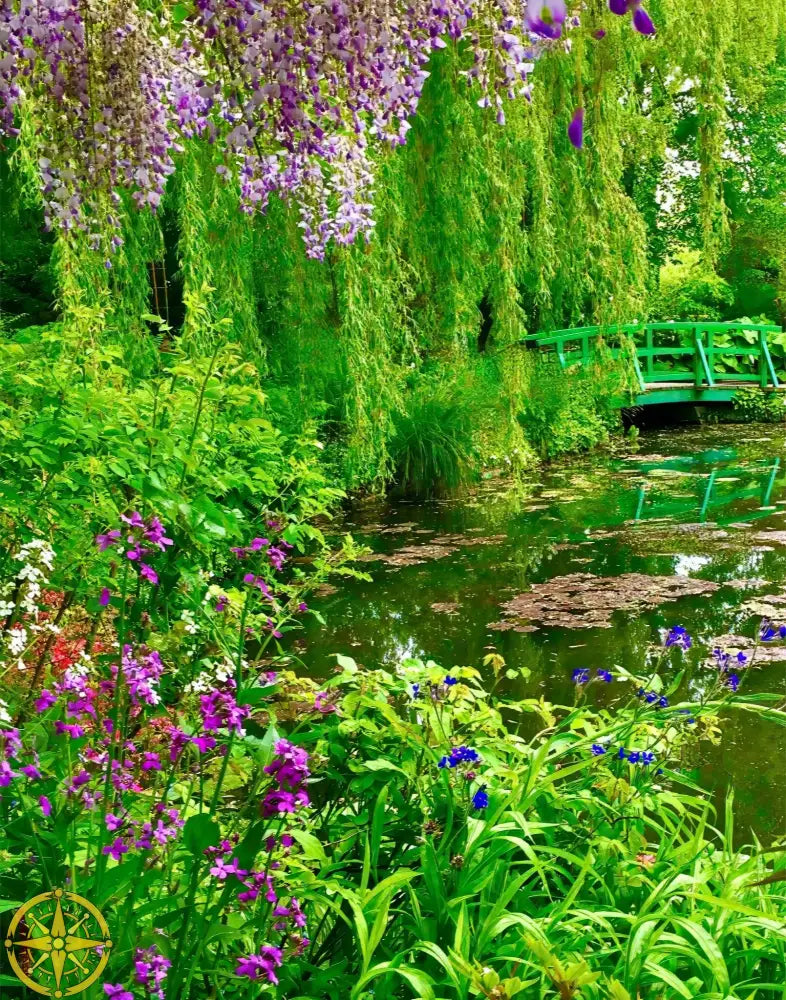 Where Colors Breathe in Brush-strokes: Claude Monet's Water Garden - Fine Art