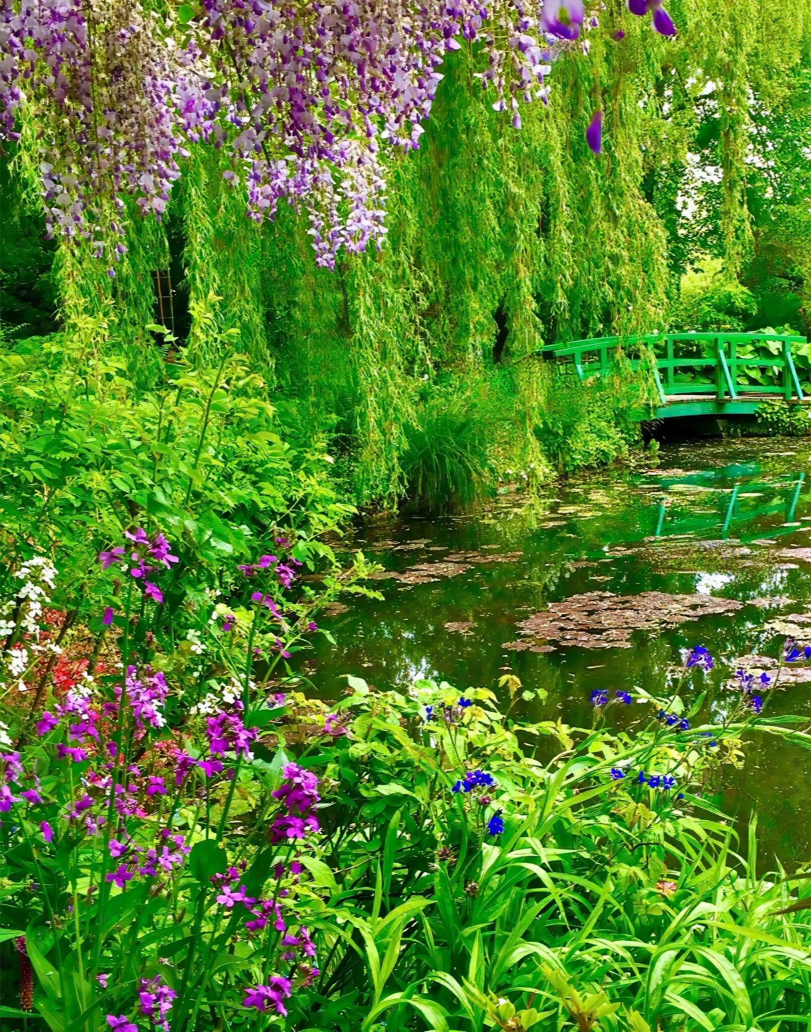 Monet's Water Garden - Fine Art