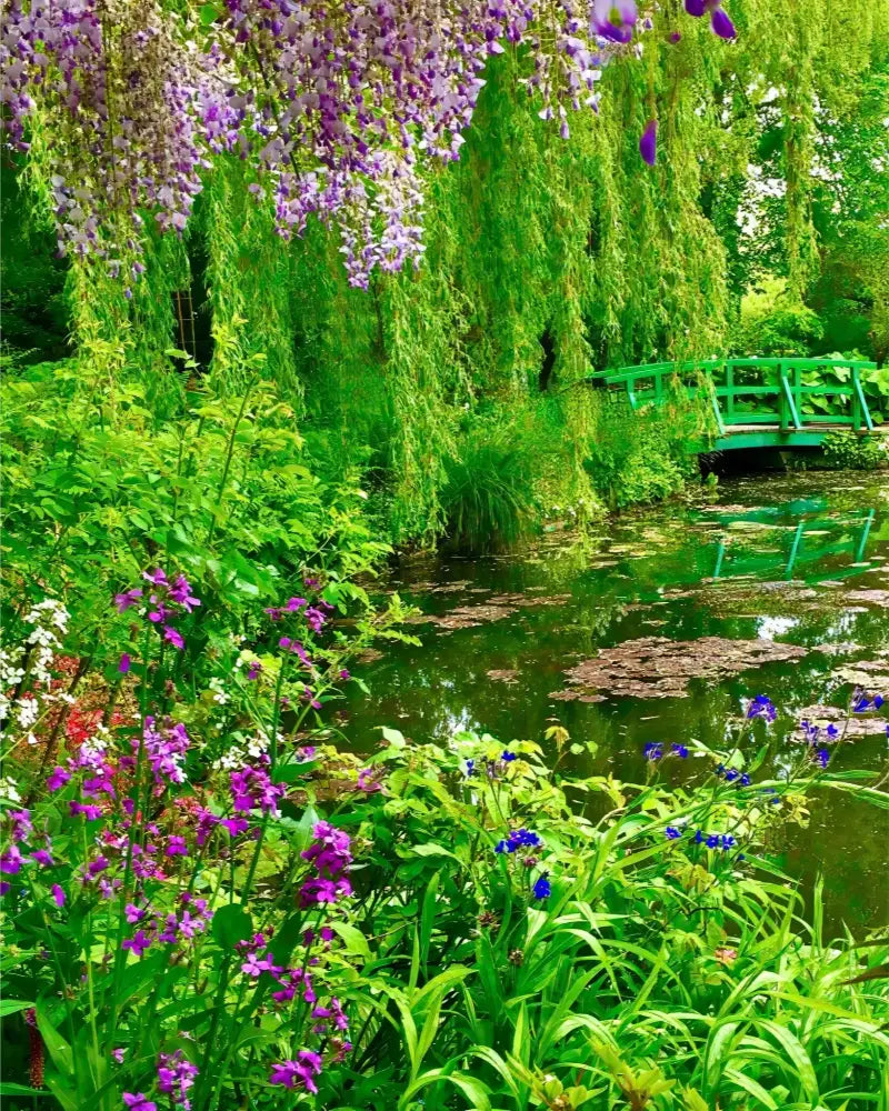 Where Colors Breathe in Brush-strokes: Claude Monet's Water Garden - Fine Art