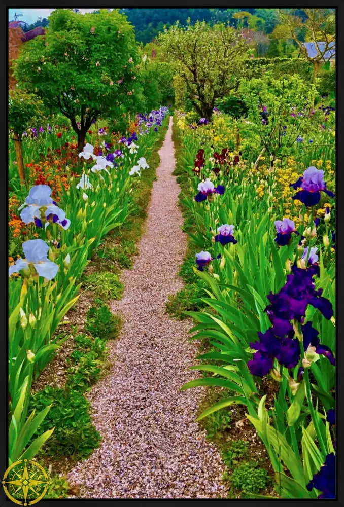 In Claude Monet's Garden: The Iris Parade - Canvas