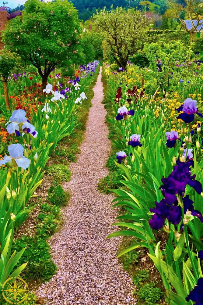 In Claude Monet's Garden: The Iris Parade - Metal