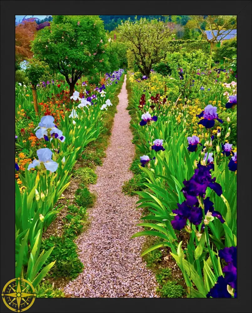 In Claude Monet's Garden: The Iris Parade - Fine Art