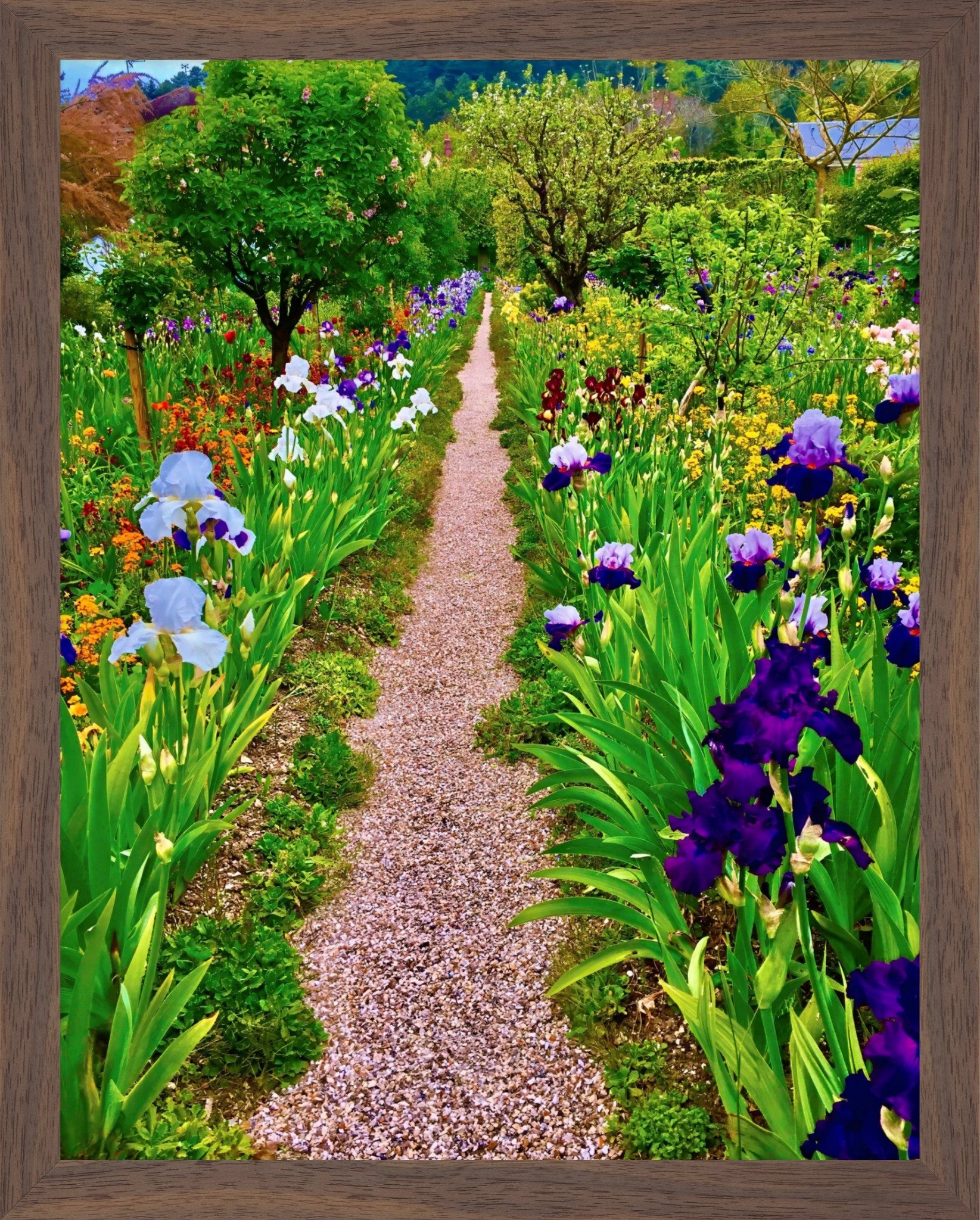 The Iris Parade - Fine Art