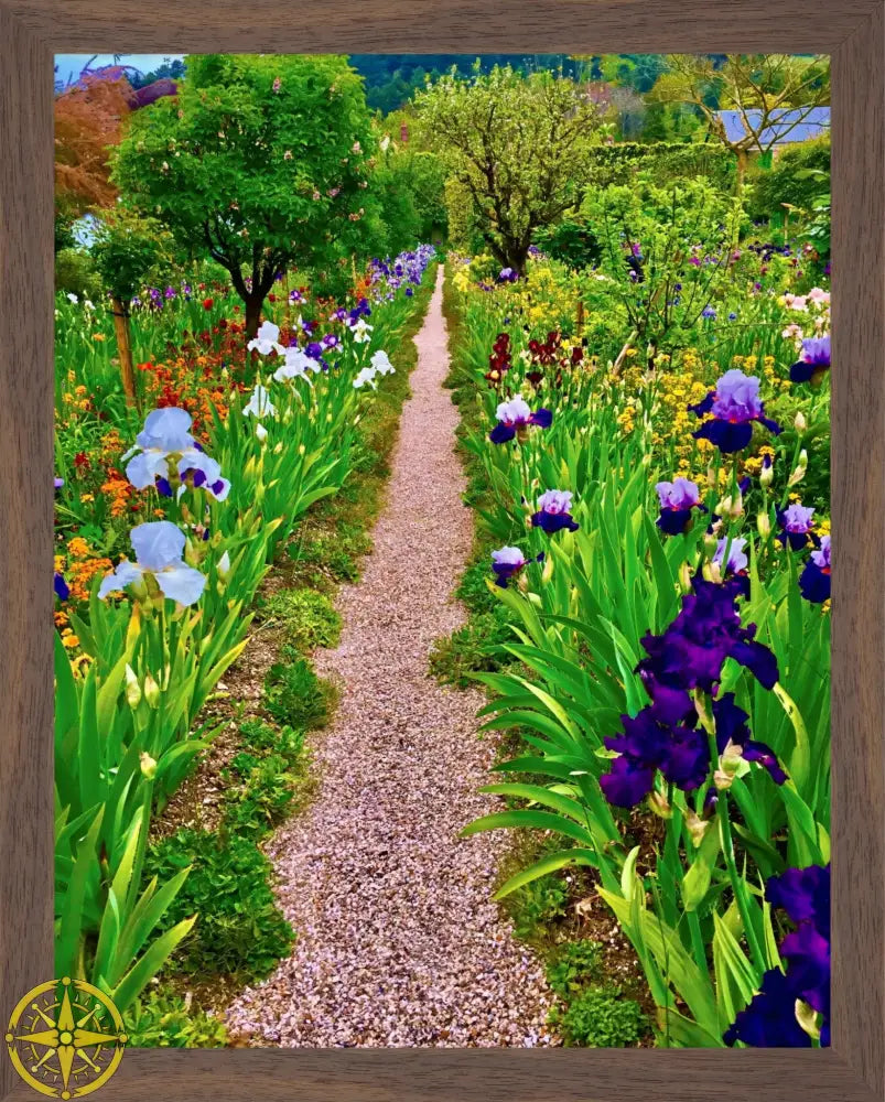 In Claude Monet's Garden: The Iris Parade - Fine Art