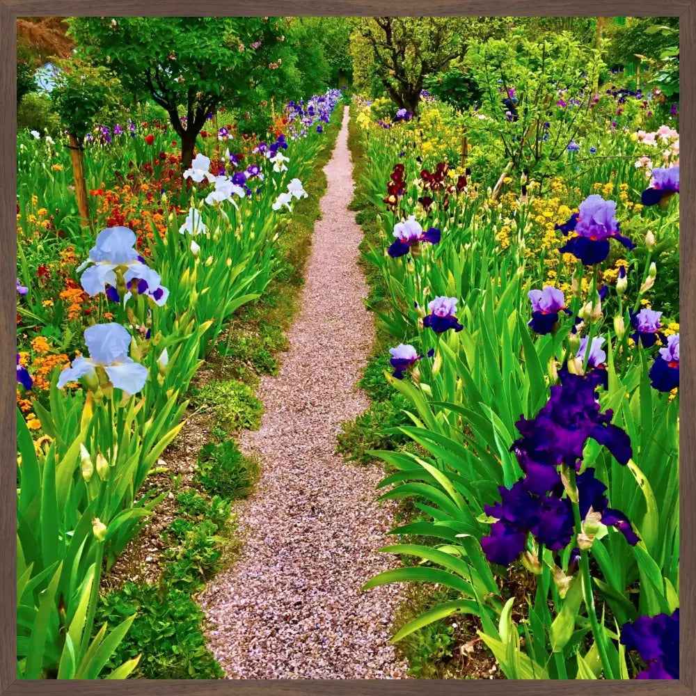 In Claude Monet's Garden: The Iris Parade - Fine Art