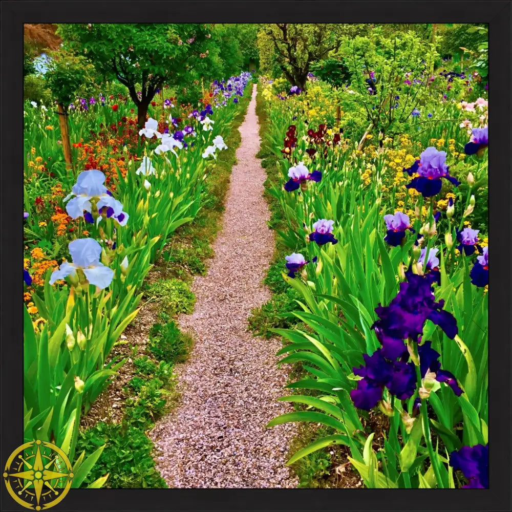 In Claude Monet's Garden: The Iris Parade - Fine Art