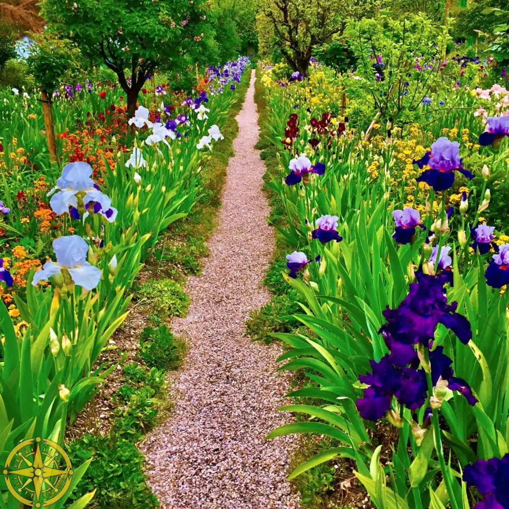 In Claude Monet's Garden: The Iris Parade - Fine Art