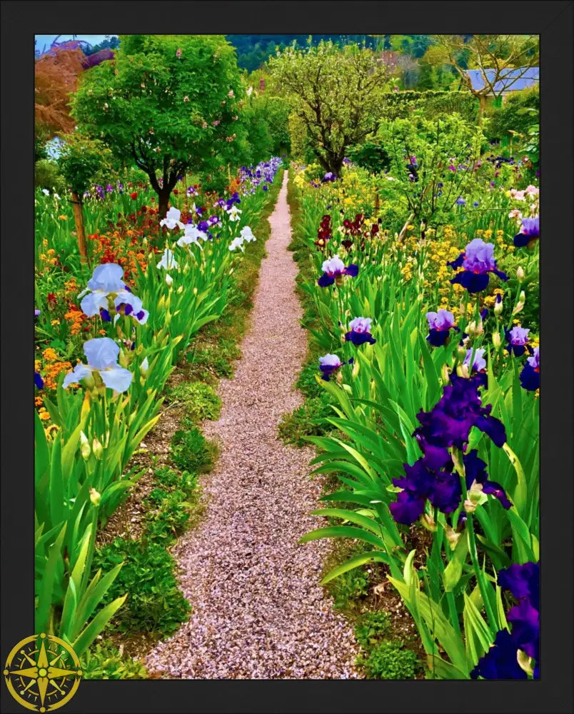 In Claude Monet's Garden: The Iris Parade - Fine Art