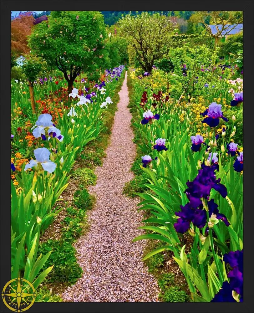 In Claude Monet's Garden: The Iris Parade - Fine Art