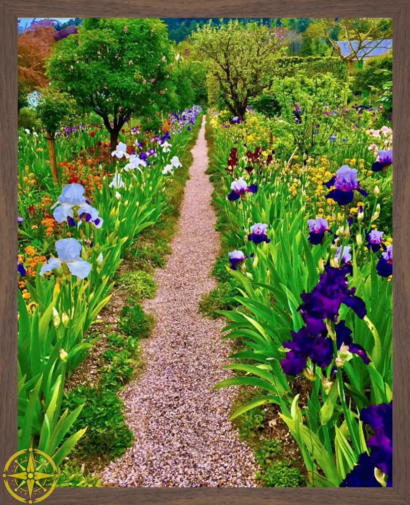 In Claude Monet's Garden: The Iris Parade - Fine Art