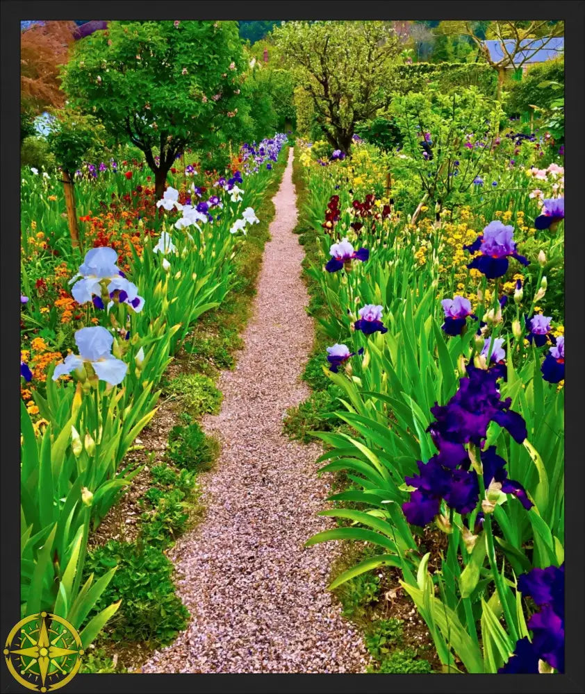 In Claude Monet's Garden: The Iris Parade - Fine Art
