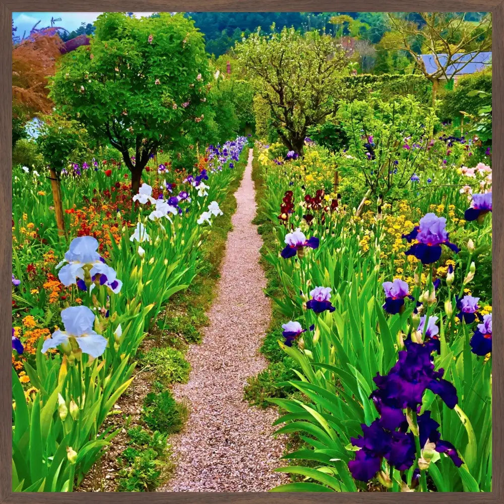 In Claude Monet's Garden: The Iris Parade - Fine Art