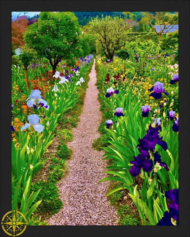 In Claude Monet's Garden: The Iris Parade - Fine Art