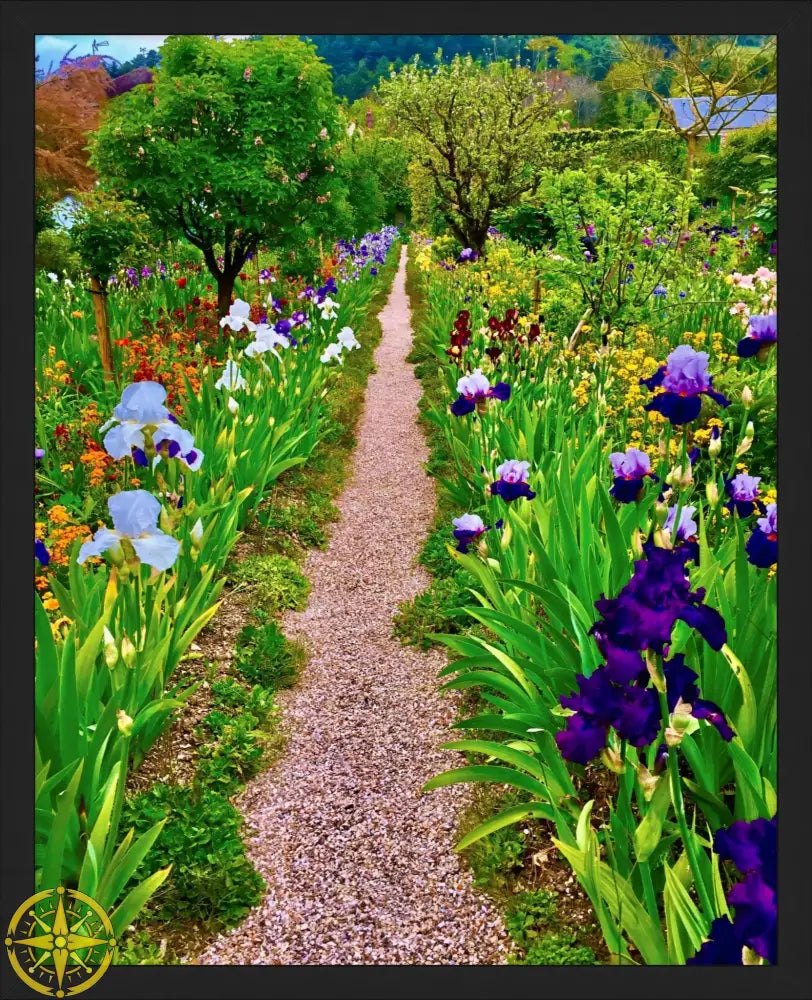 In Claude Monet's Garden: The Iris Parade - Fine Art