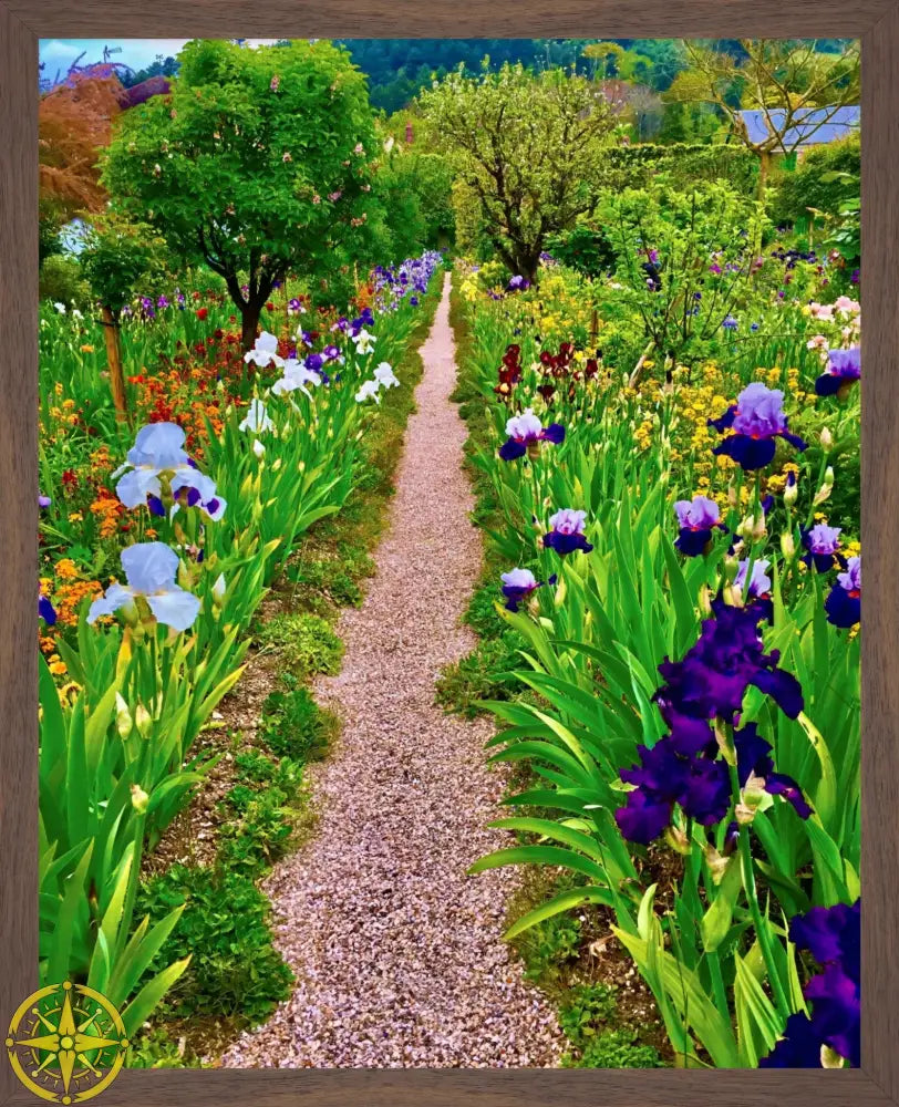 In Claude Monet's Garden: The Iris Parade - Fine Art