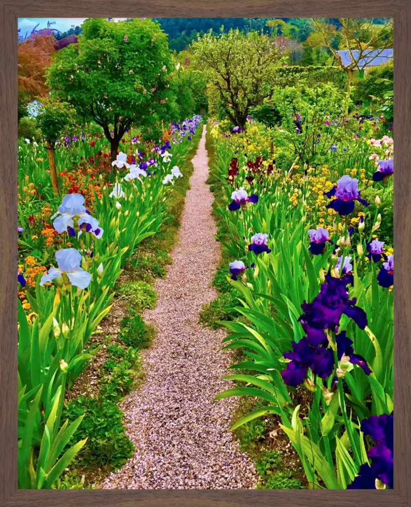 In Claude Monet's Garden: The Iris Parade - Fine Art