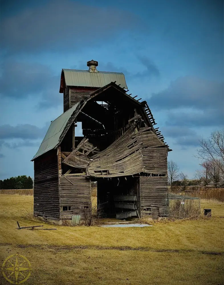 Fallen. Forgotten. - Fine Art