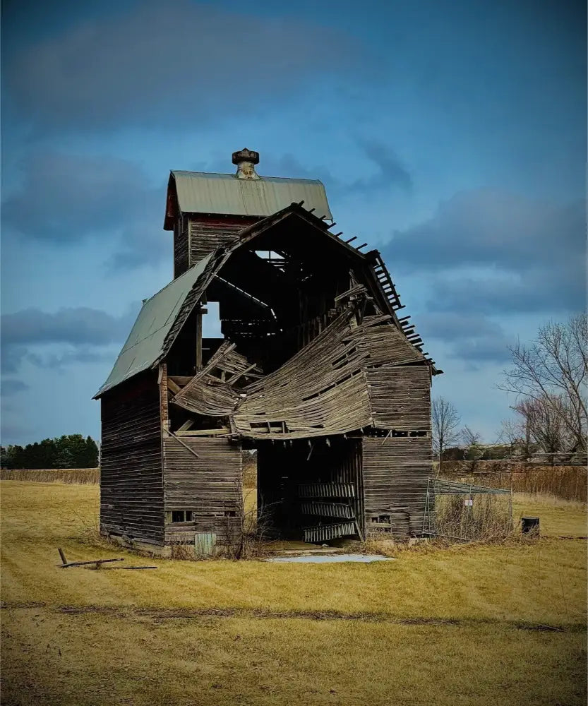 Fallen. Forgotten. - Fine Art