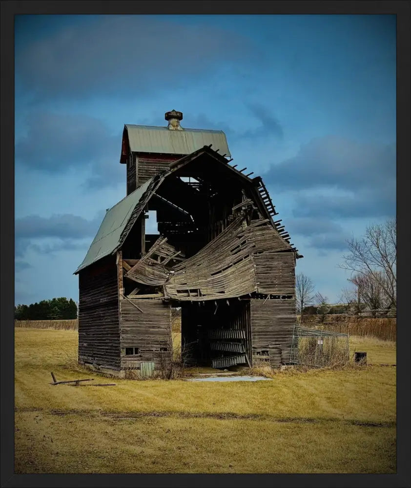 Fallen. Forgotten. - Fine Art