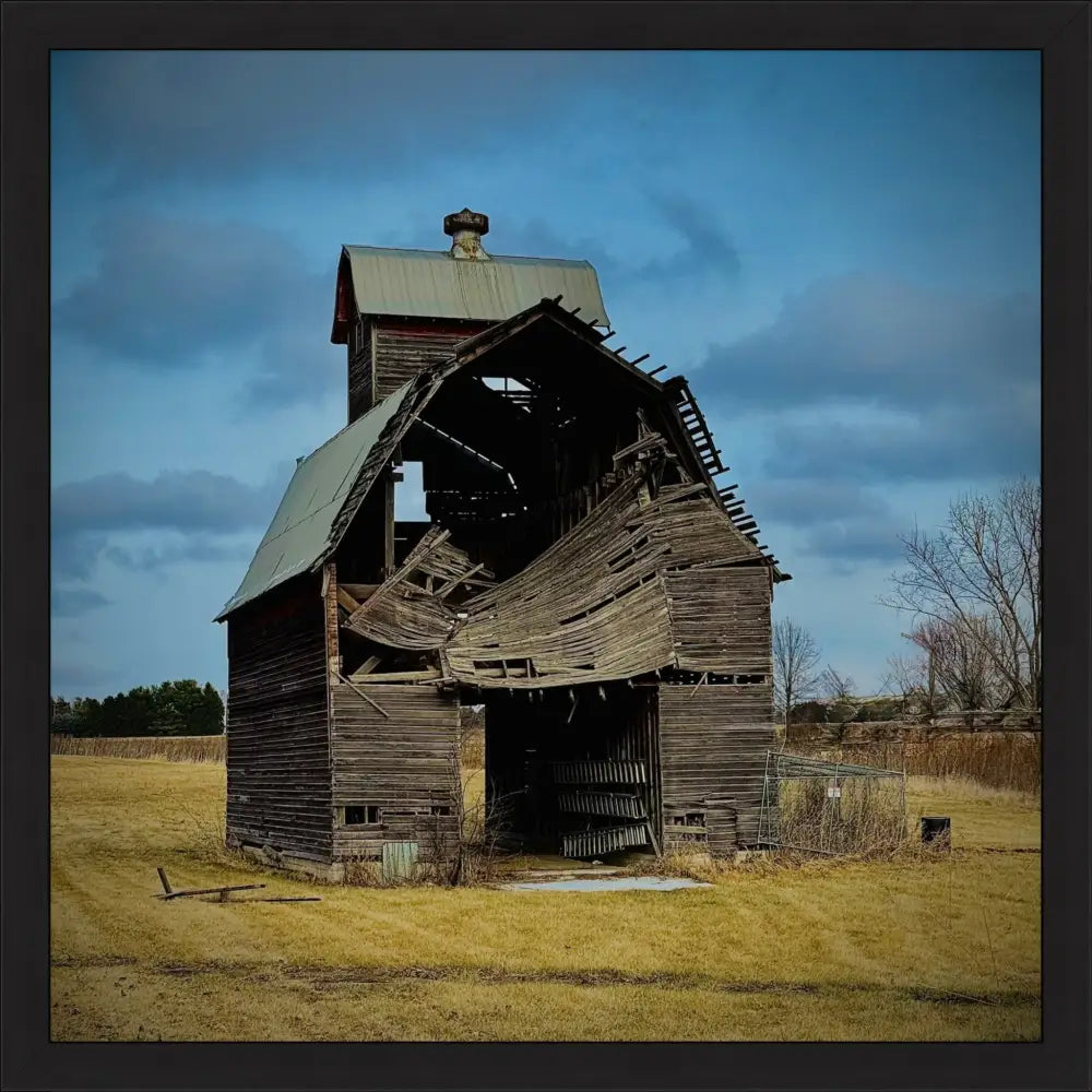 Fallen. Forgotten. - Fine Art