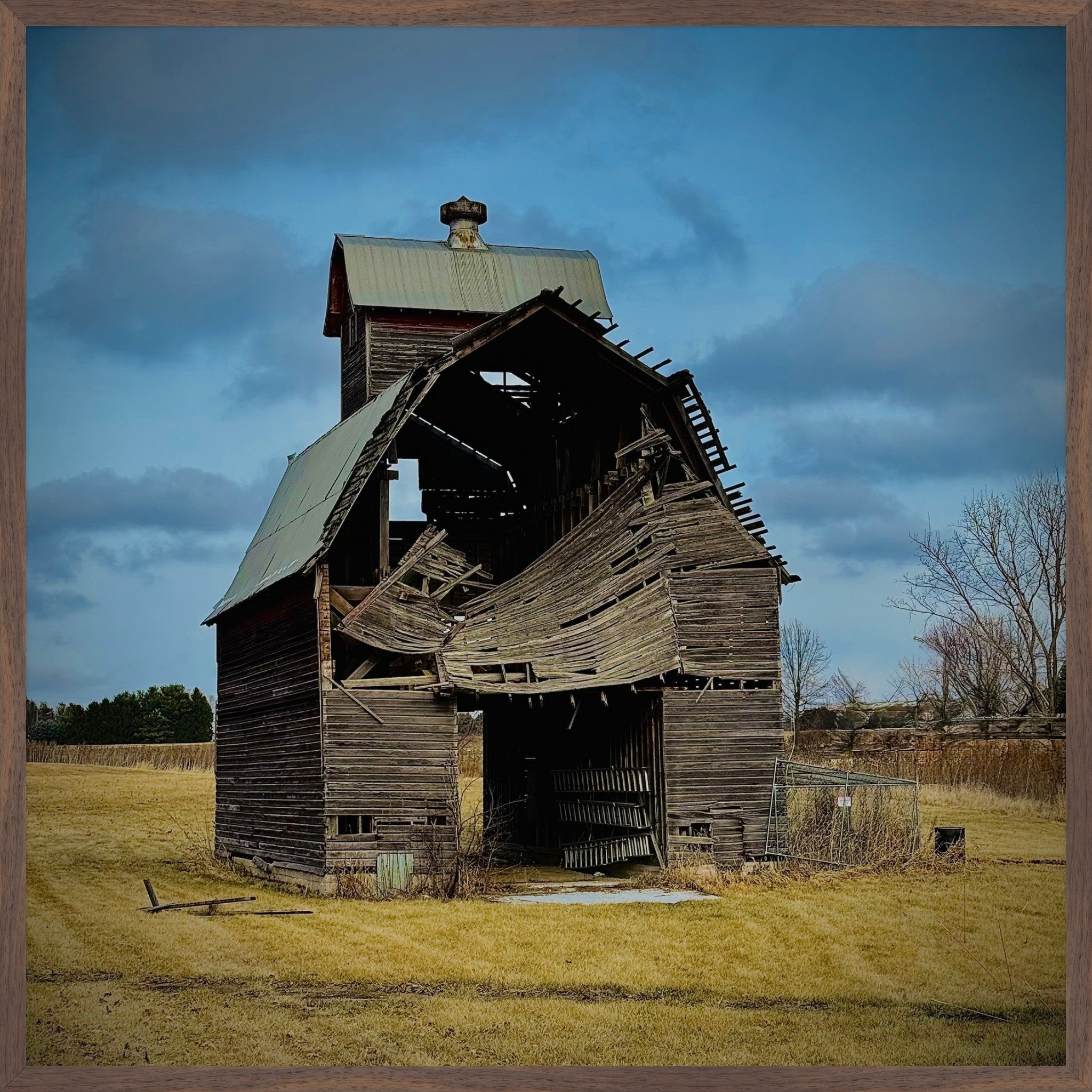 Fallen. Forgotten. - Fine Art