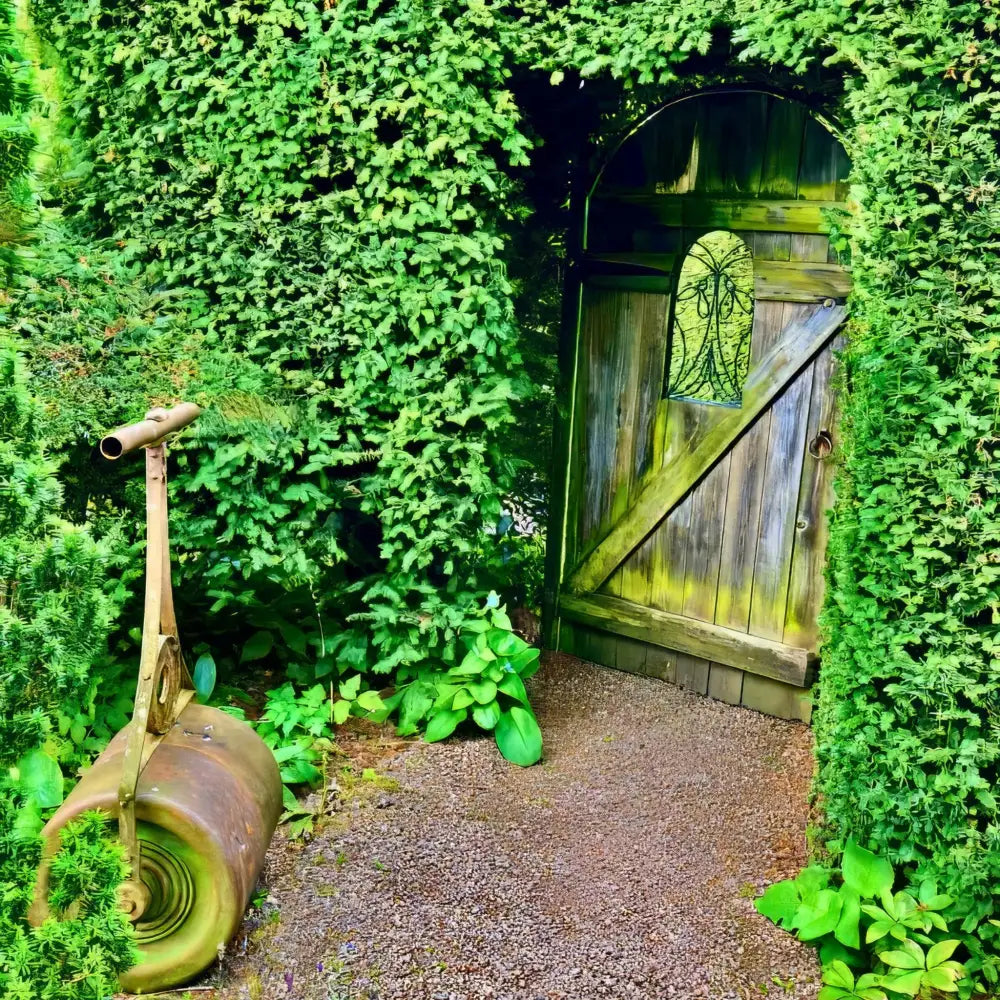 Secret Garden from the Inside - Acrylic