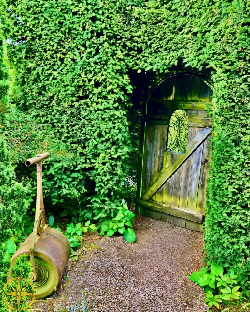 Secret Garden from the Inside - Fine Art