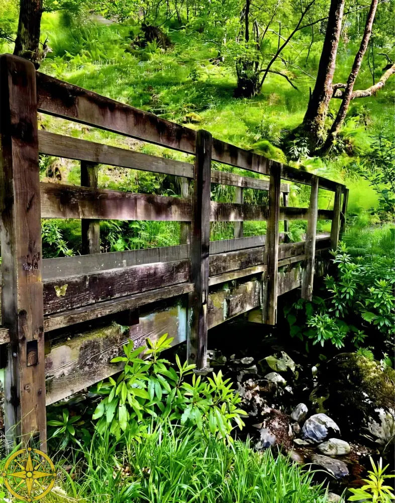 Welcoming Bridge Exploring Pitlochry Forest - Fine Art