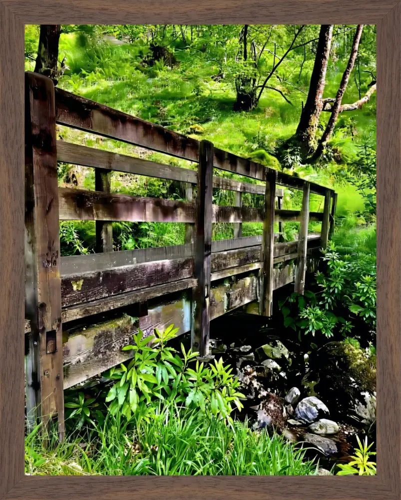 Welcoming Bridge Exploring Pitlochry Forest - Fine Art