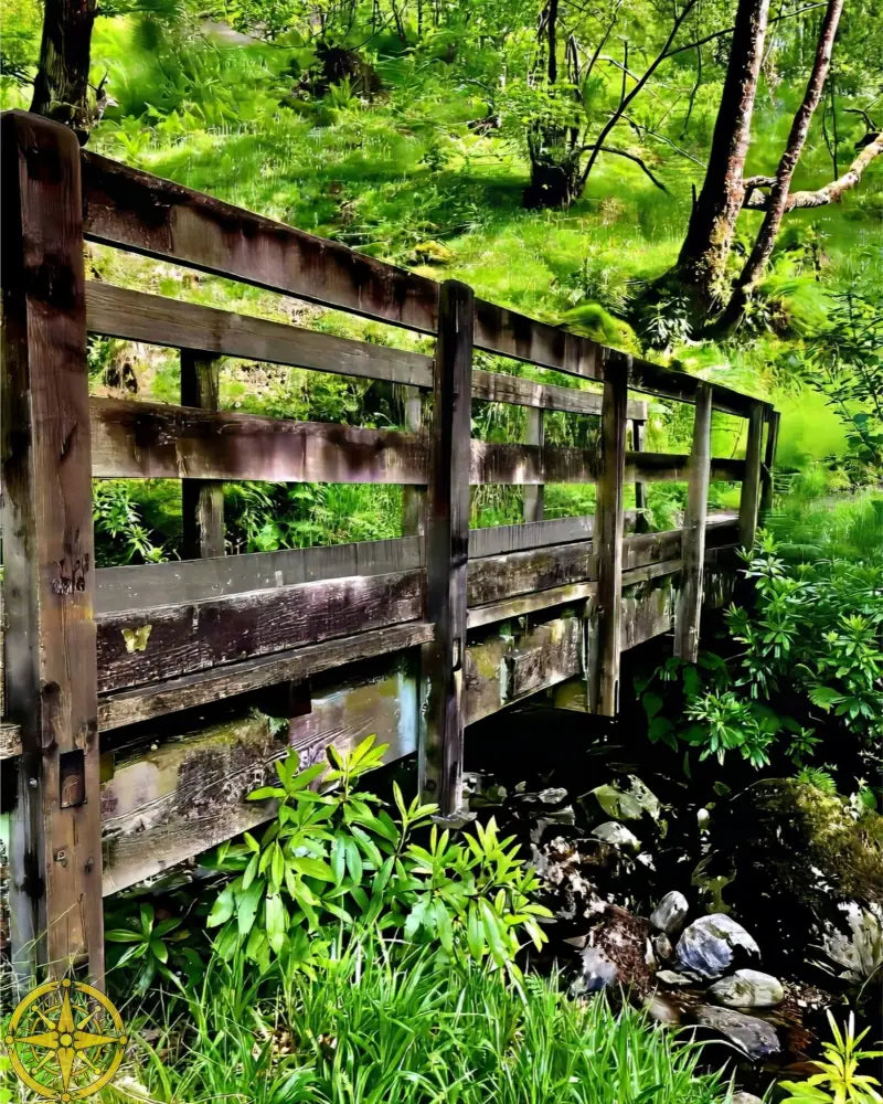 Welcoming Bridge Exploring Pitlochry Forest - Fine Art