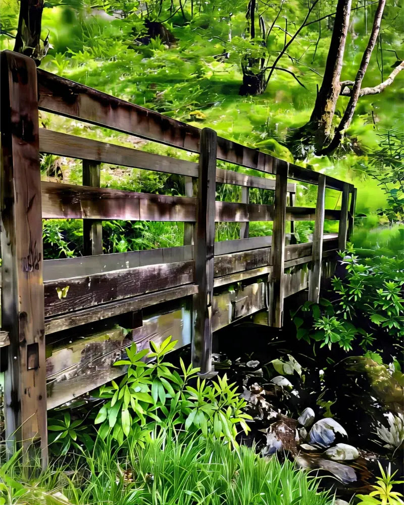 Welcoming Bridge Exploring Pitlochry Forest - Fine Art