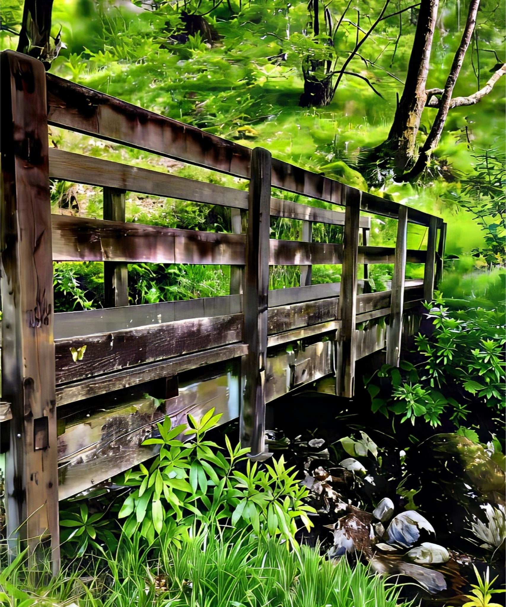 Craig's The Bridge of Sighs - Fine Art