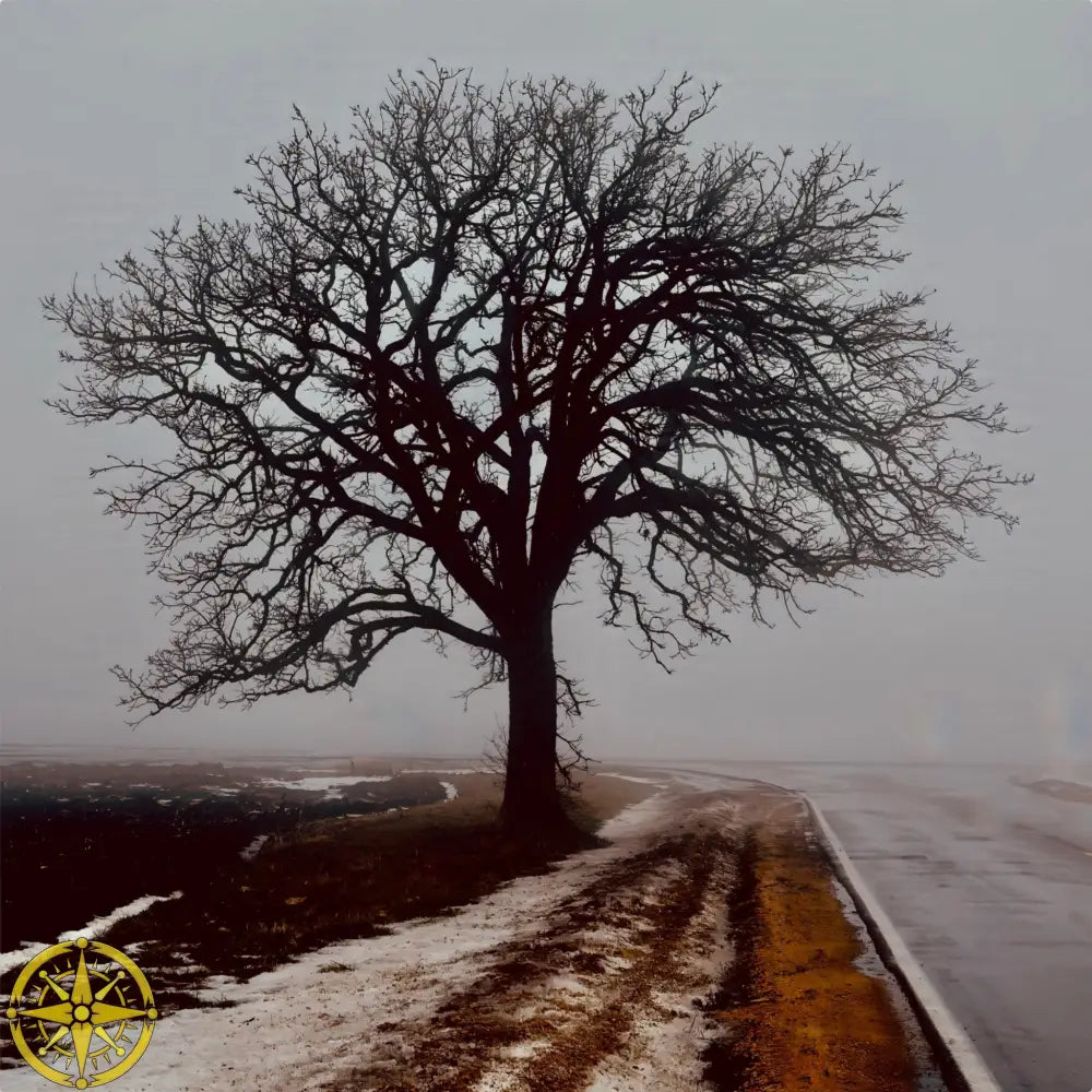 Tree in Fog - Metal