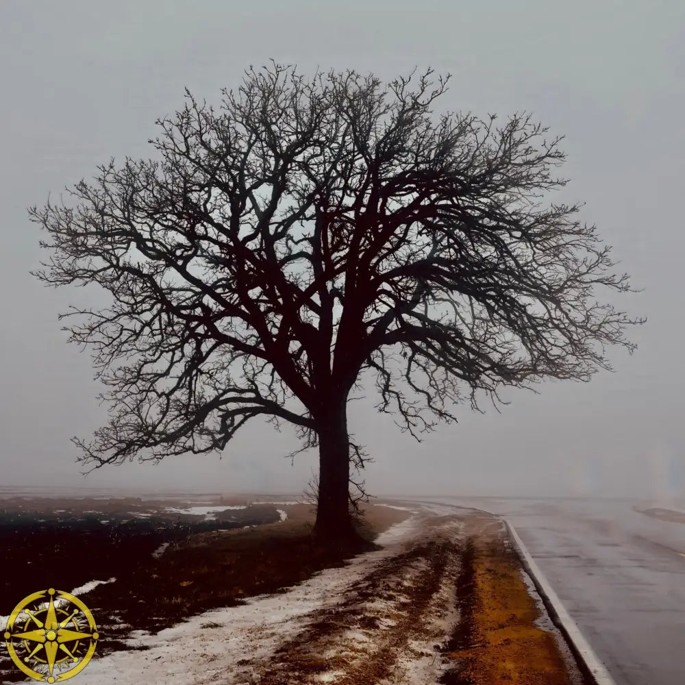 Tree in Fog - Acrylic
