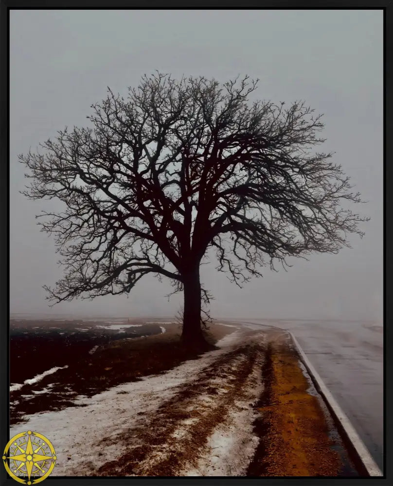 Tree in Fog - Canvas