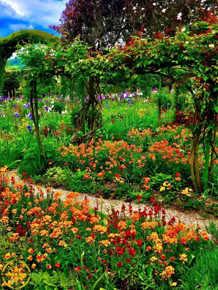 In Claude Monet's Garden: A Symphony in Orange - Acrylic