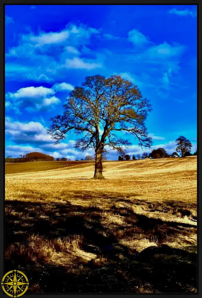 Tree in Field - Canvas
