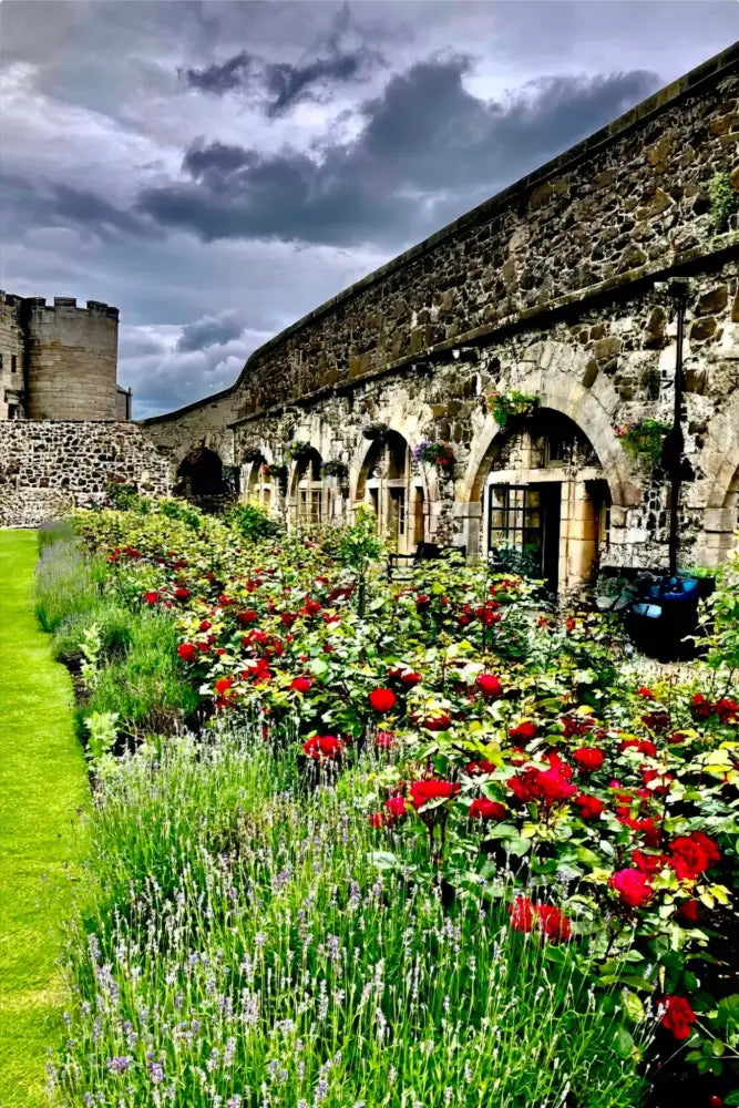 Gallery of Arches and Roses - Metal