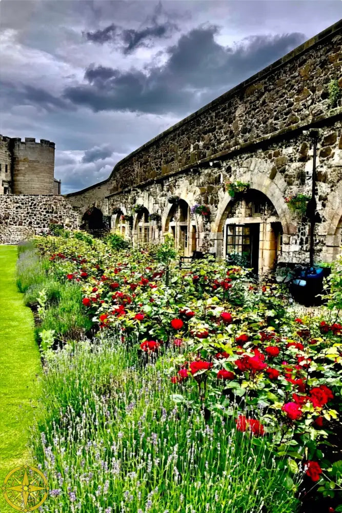 Gallery of Arches and Roses - Metal