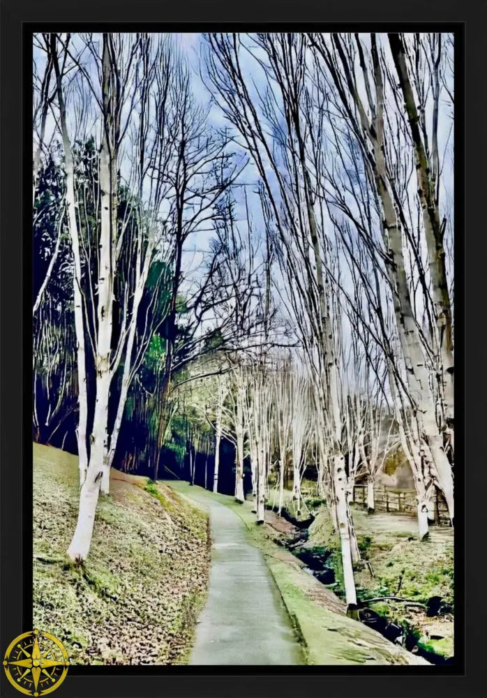 Cathedral of Birches in Winter - Canvas