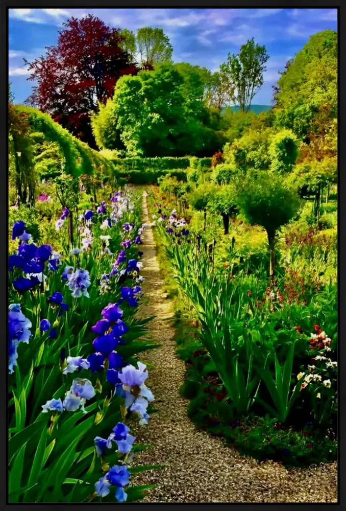 In Claude Monet's Garden: Path of Irises - Canvas
