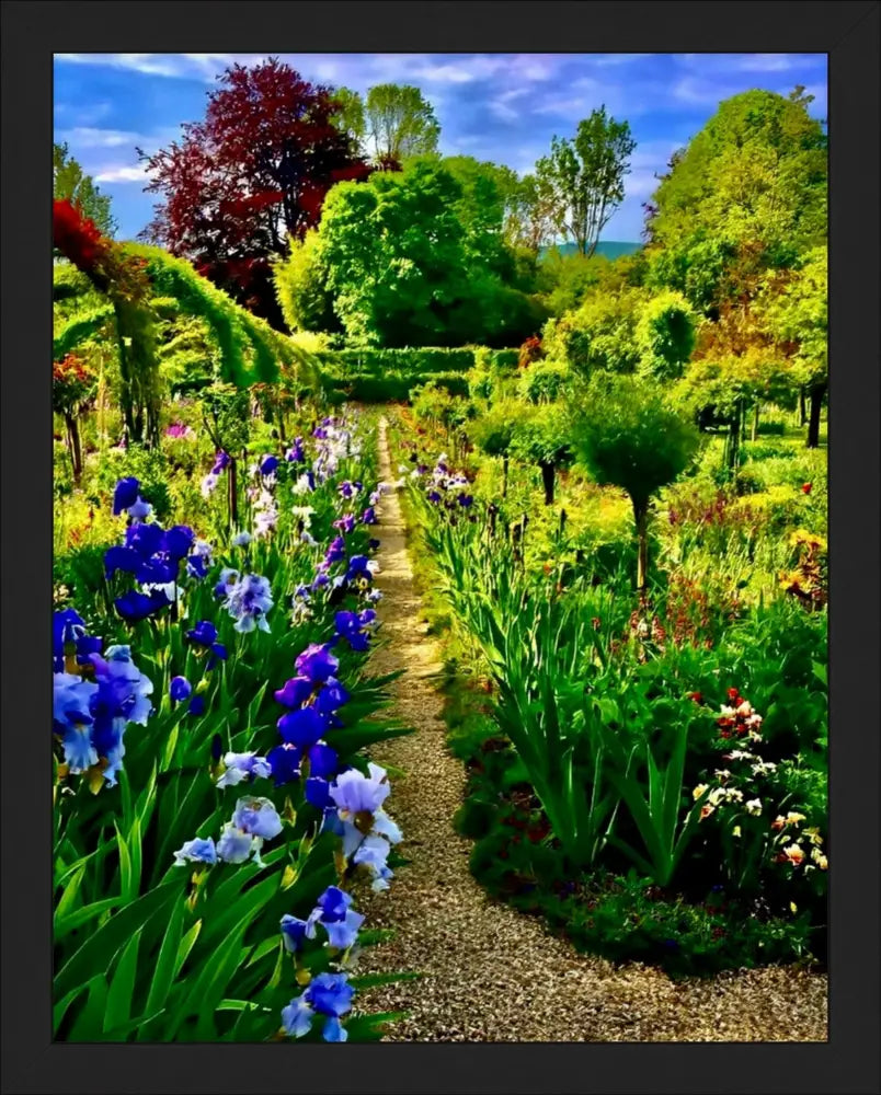 In Claude Monet's Garden: Path of Irises - Fine Art