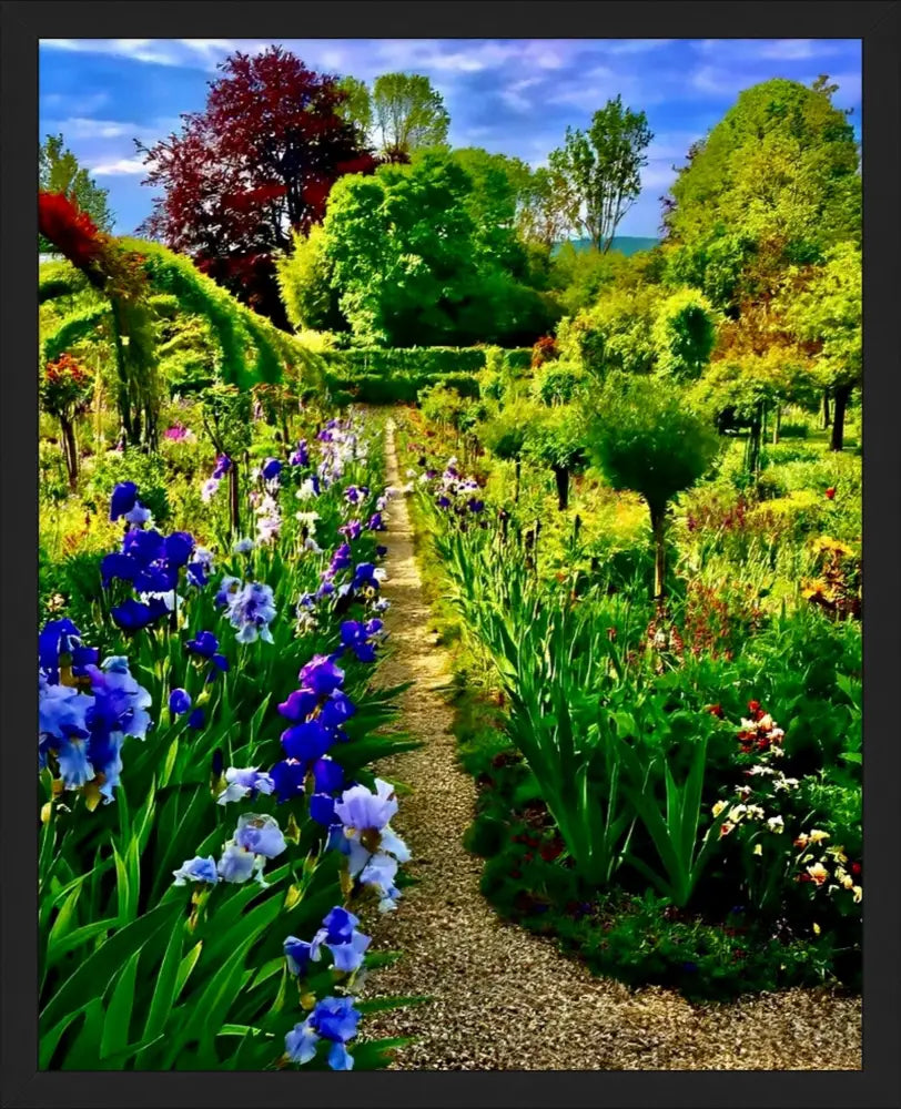 In Claude Monet's Garden: Path of Irises - Fine Art
