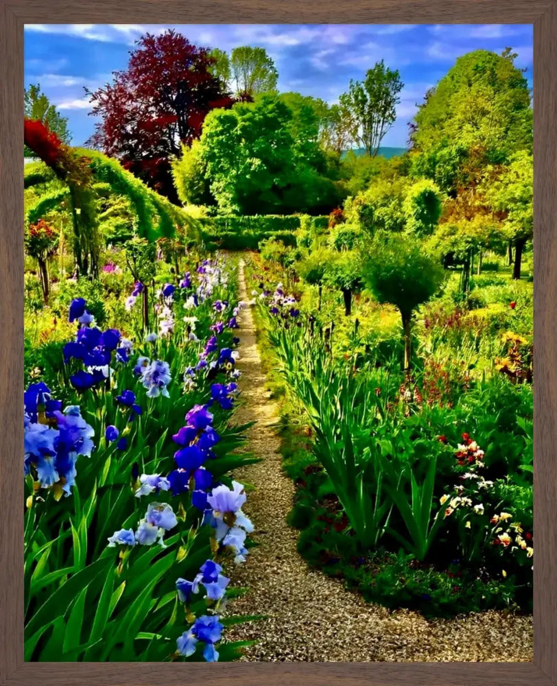 In Claude Monet's Garden: Path of Irises - Fine Art