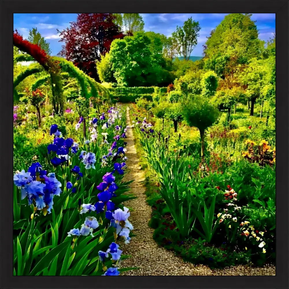 In Claude Monet's Garden: Path of Irises - Fine Art