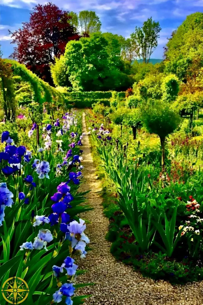In Claude Monet's Garden: Path of Irises - Metal