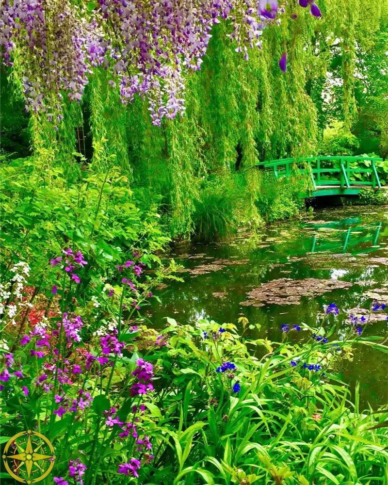 Where Colors Breathe in Brush-strokes: Claude Monet's Water Garden - Fine Art