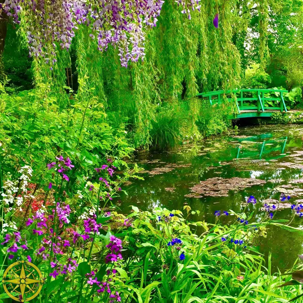 Where Colors Breathe in Brush-strokes: Claude Monet's Water Garden - Fine Art