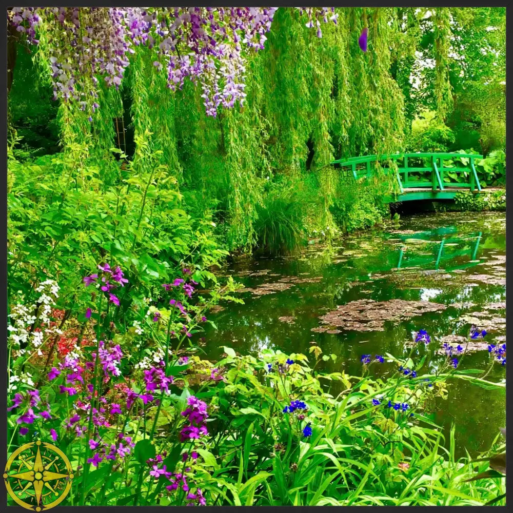 Where Colors Breathe in Brush-strokes: Claude Monet's Water Garden - Fine Art